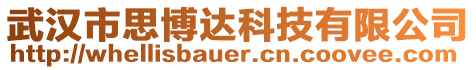 武漢市思博達科技有限公司