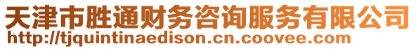 天津市勝通財務(wù)咨詢服務(wù)有限公司