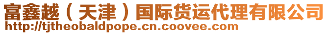 富鑫越（天津）國際貨運代理有限公司