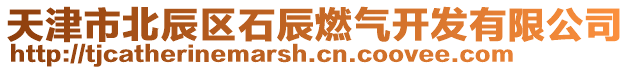 天津市北辰區(qū)石辰燃?xì)忾_(kāi)發(fā)有限公司