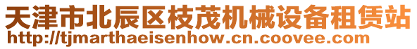 天津市北辰區(qū)枝茂機械設備租賃站