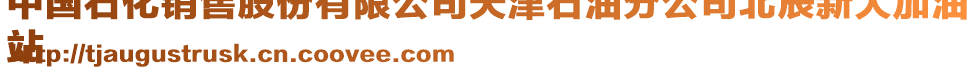 中國(guó)石化銷售股份有限公司天津石油分公司北辰新大加油
站