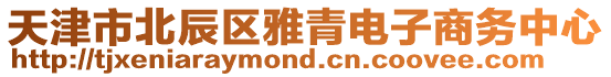 天津市北辰區(qū)雅青電子商務(wù)中心