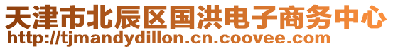 天津市北辰區(qū)國洪電子商務(wù)中心