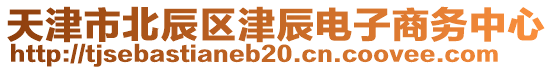 天津市北辰區(qū)津辰電子商務(wù)中心