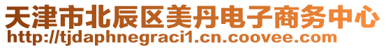 天津市北辰區(qū)美丹電子商務(wù)中心