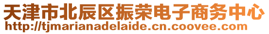 天津市北辰區(qū)振榮電子商務(wù)中心