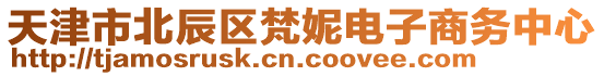 天津市北辰區(qū)梵妮電子商務中心