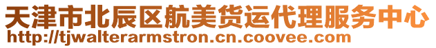 天津市北辰區(qū)航美貨運代理服務中心