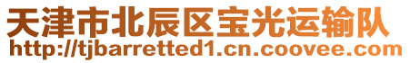 天津市北辰區(qū)寶光運輸隊