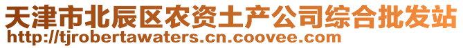 天津市北辰區(qū)農(nóng)資土產(chǎn)公司綜合批發(fā)站