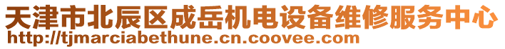 天津市北辰區(qū)成岳機電設備維修服務中心