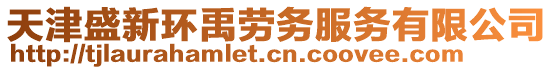 天津盛新環(huán)禹勞務(wù)服務(wù)有限公司