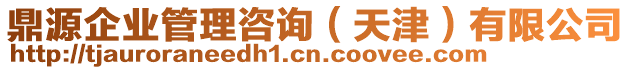 鼎源企業(yè)管理咨詢（天津）有限公司