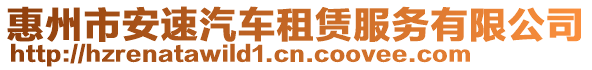 惠州市安速汽車租賃服務(wù)有限公司