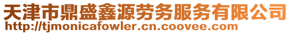 天津市鼎盛鑫源勞務(wù)服務(wù)有限公司