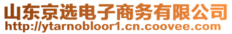 山東京選電子商務(wù)有限公司