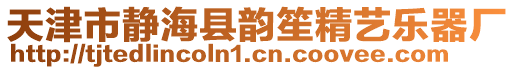 天津市靜?？h韻笙精藝樂器廠