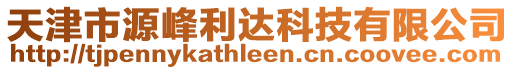 天津市源峰利達(dá)科技有限公司