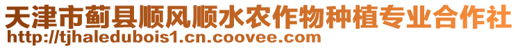 天津市薊縣順風(fēng)順?biāo)r(nóng)作物種植專業(yè)合作社