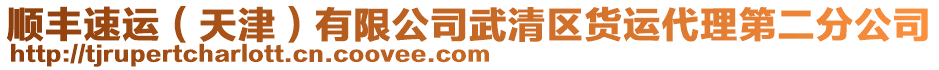 順豐速運（天津）有限公司武清區(qū)貨運代理第二分公司