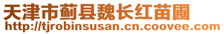 天津市薊縣魏長紅苗圃