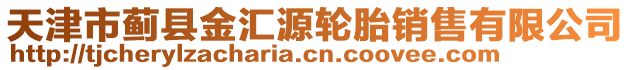 天津市薊縣金匯源輪胎銷售有限公司