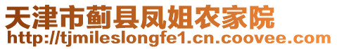 天津市薊縣鳳姐農(nóng)家院