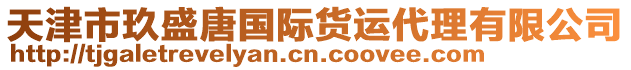 天津市玖盛唐國際貨運代理有限公司