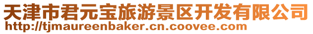 天津市君元寶旅游景區(qū)開發(fā)有限公司