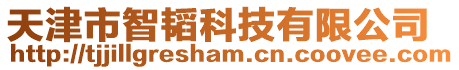 天津市智韜科技有限公司