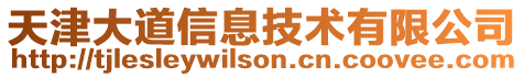 天津大道信息技術有限公司