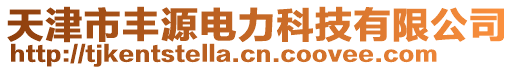 天津市豐源電力科技有限公司