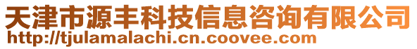 天津市源豐科技信息咨詢有限公司