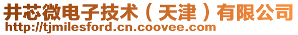 井芯微电子技术（天津）有限公司