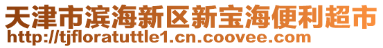 天津市濱海新區(qū)新寶海便利超市