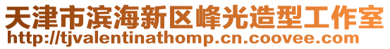 天津市濱海新區峰光造型工作室
