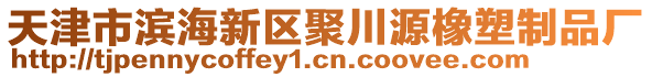 天津市濱海新區(qū)聚川源橡塑制品廠