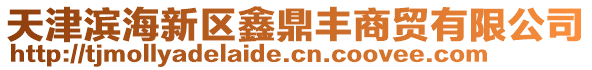 天津濱海新區鑫鼎豐商貿有限公司