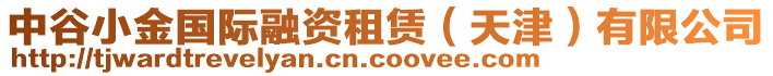 中谷小金國(guó)際融資租賃（天津）有限公司