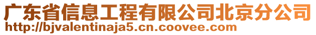 廣東省信息工程有限公司北京分公司