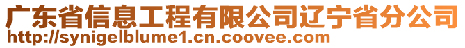 廣東省信息工程有限公司遼寧省分公司