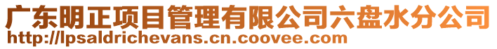 廣東明正項目管理有限公司六盤水分公司