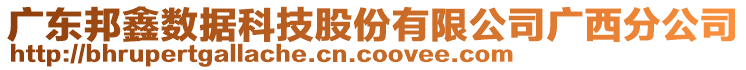 廣東邦鑫數(shù)據(jù)科技股份有限公司廣西分公司