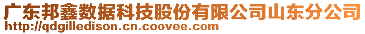 廣東邦鑫數據科技股份有限公司山東分公司