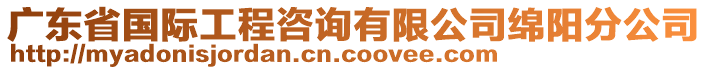 廣東省國際工程咨詢有限公司綿陽分公司