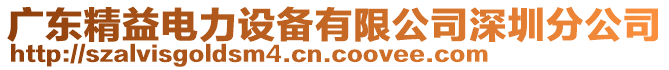 廣東精益電力設(shè)備有限公司深圳分公司