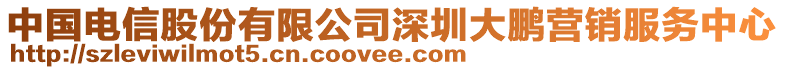 中國(guó)電信股份有限公司深圳大鵬營(yíng)銷服務(wù)中心