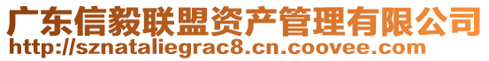 廣東信毅聯(lián)盟資產(chǎn)管理有限公司