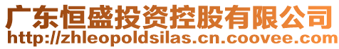 廣東恒盛投資控股有限公司